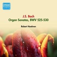 Trio Sonata No. 6 in G Major, BWV 530: III. Allegro