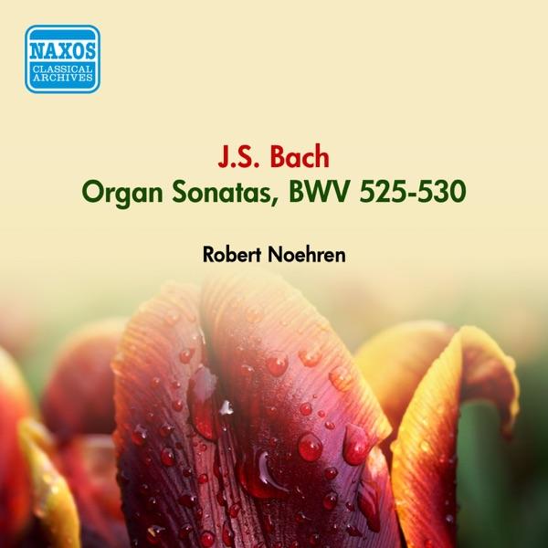 Trio Sonata No. 6 in G Major, BWV 530: II. Lento