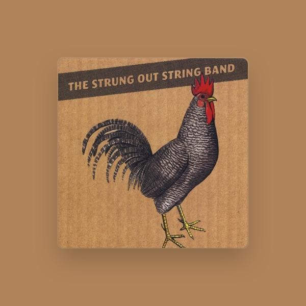 Strung Out String Band