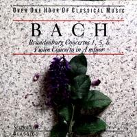 Brandenburg Concerto No 5 In D Major, BWV 1050: Allegro