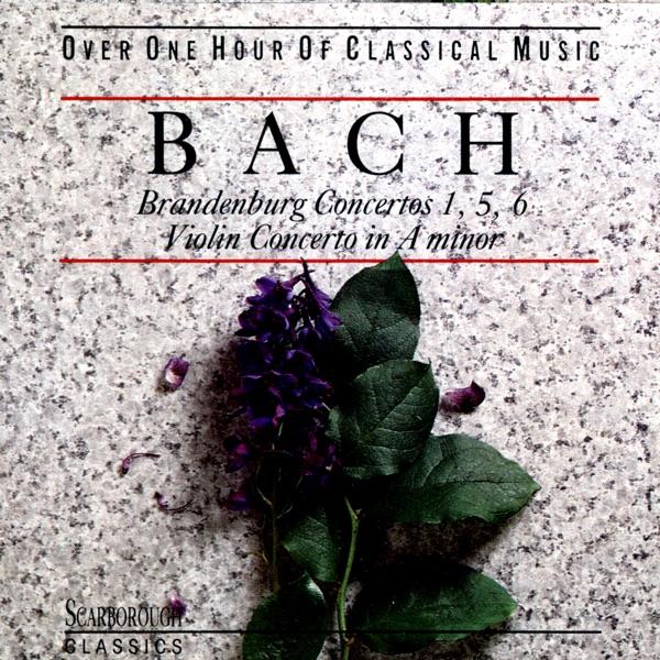 Brandenburg Concerto No 5 In D Major, BWV 1050: Allegro