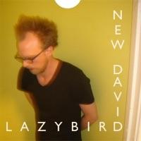Lazybird