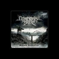 Cerebral Bore