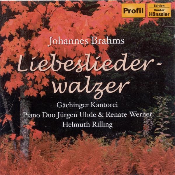 Neue Liebeslieder Waltzes, Op. 65: No. 8. Weiche Graser Im Revier