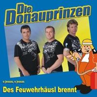 Des Feuwehrhäusl brennt (Karaoke Mix)