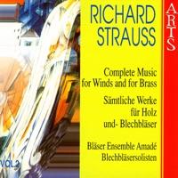 Suite (B-Dur) Für 13 Blasinstrumente, Op. 4: III. Gavotte (Allegro)
