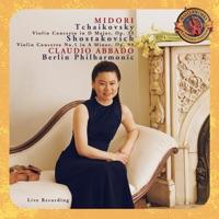 Concerto in D Major for Violin and Orchestra, Op. 35: I. Allegro moderato