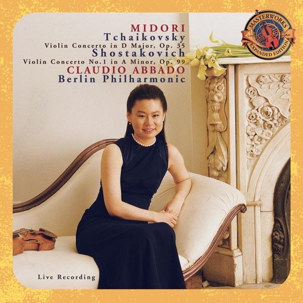 Concerto in D Major for Violin and Orchestra, Op. 35: I. Allegro moderato