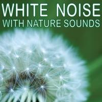 White Noise Waterfall