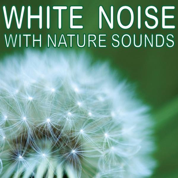 White Noise Waterfall
