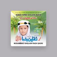 Muhammad Saqlain Raza Qadri