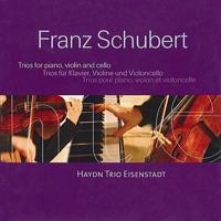 Piano Trio No. 1 in B flat major, Op. 99, D. 898 : II. Andante un poco mosso