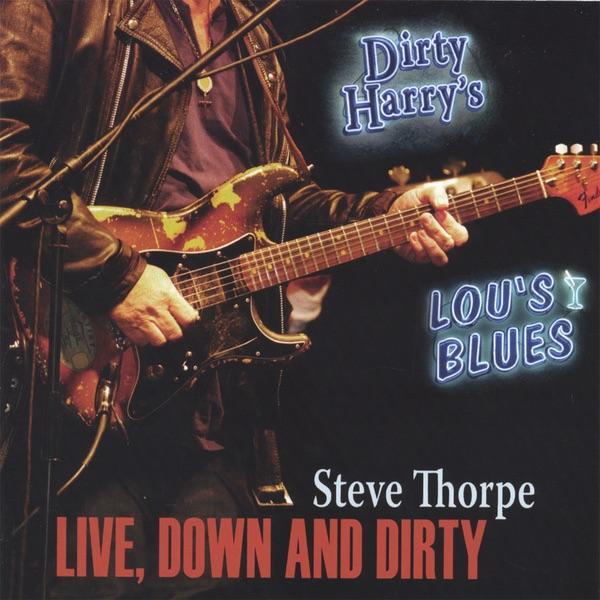 Everyday I Have the Blues (Live)