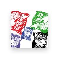 Tiger & Woods