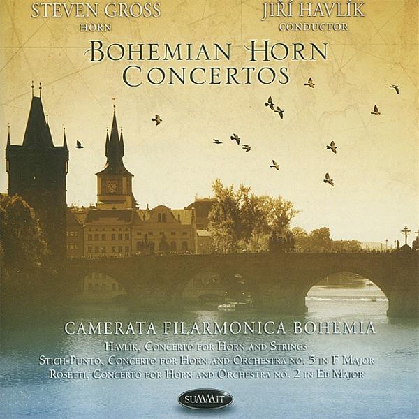 Concerto for Horn and Orchestra No. 2 in E-Flat Major: II. Romance - Adagio non tanto