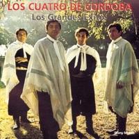 Amigos, por Que No Han Venido