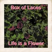 Life Is a Flower (Extended Version)