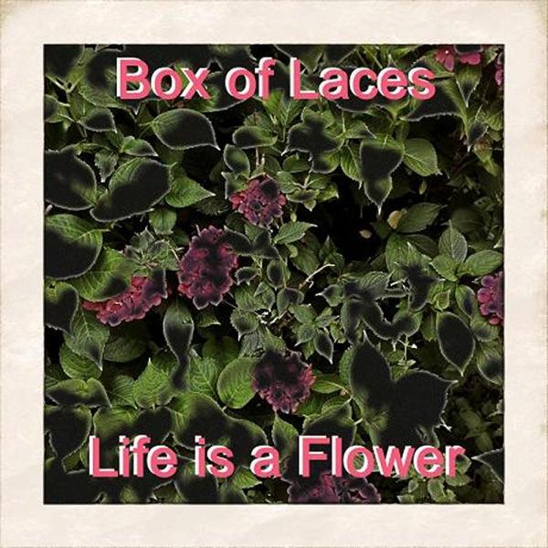 Life Is a Flower (Original Version)