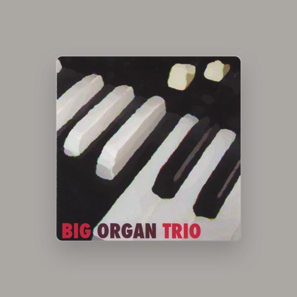 Big Organ Trio