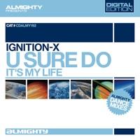 It's My Life (Almighty Transensual Mix)
