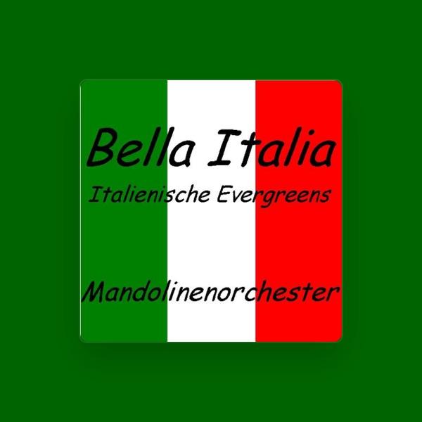 Mandolinenorchester