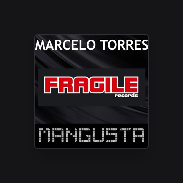 Marcelo Torres