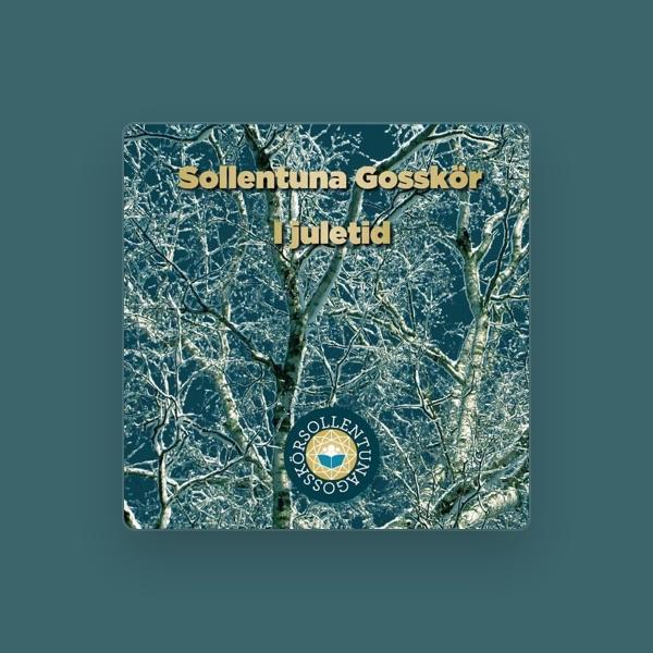 Sollentuna Gosskör
