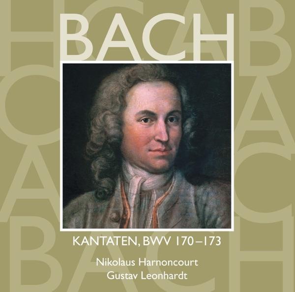 Cantata No. 173 Erhöhtes Fleisch und Blut, BWV 173: IV. Aria - "So hat Gott die Welt geliebt" [Boy Soprano, Bass]