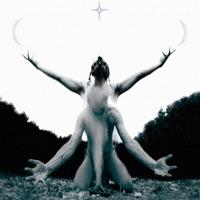 Of Bloody Hands and Mocking Stars