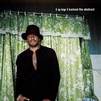 Abstractionisms (feat. Kenny Garrett a.k.a. Truth)