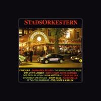 Stadsorkestern