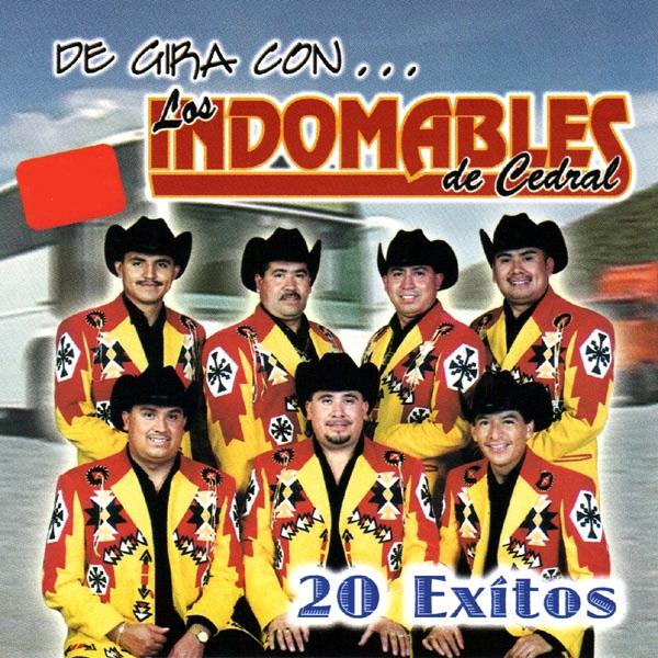 He Ganado al Perderte