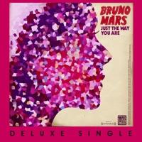 Just the Way You Are (Remix) [feat. Lupe Fiasco] {Bonus Track}