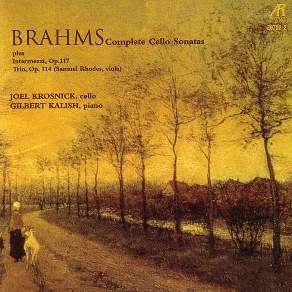 Sonata No. 1 In E Minor, Op. 38: I. Allegro Non Troppo
