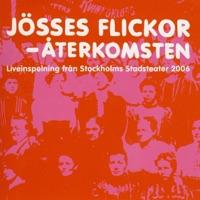 Stålflikkans sista sång