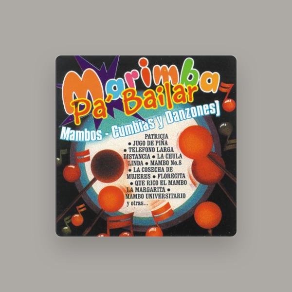 Marimba Brisas de Chiapas