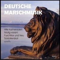 Marsch der Bayerischen Reservisten