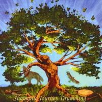 15 Minute Shamanic Jounrey Drumming With Call Back