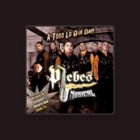 Plebes Musical