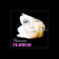 Francesco