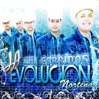 Comando Negro