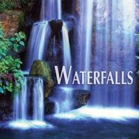 River of Relaxation: Healing Waters (With Crickets & Birds)