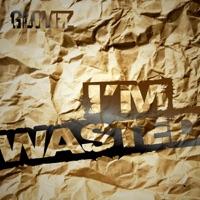 I'm Wasted