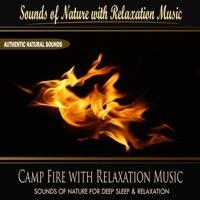 Camp Fire With Relaxation Music (Nature Sounds)