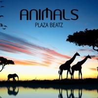 Disco Forest (Original Mix)