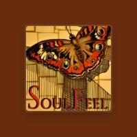 Soul Feel