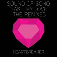 Take My Love (Sai Steve Dub Instrumental)