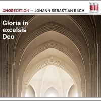 Gloria in excelsis Deo, BWV 191: No. 1, Gloria in excelsis Deo