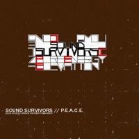 Light Travel (feat. Constant Elevation & 9th Scientist)