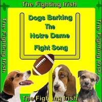 Notre Dame Fight Song (Dogs Barking) [Fighting Irish]